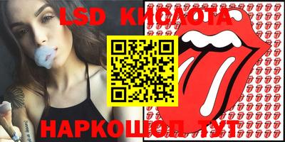 тгк Краснодар