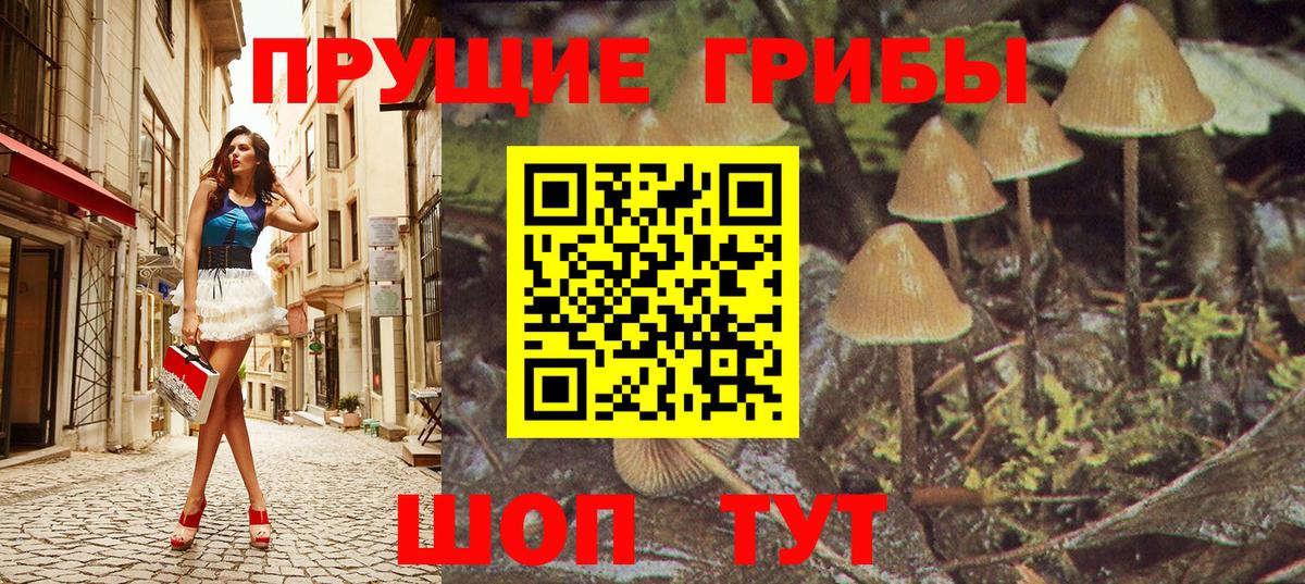 Псилоцибиновые грибы мухоморы  купить наркотик  Каспийск  Вход с VPN 